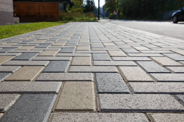 Best Driveway Paving Contractor  in Plains, TX