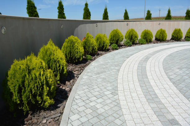 Best Driveway Pavers Contractor  in Plains, TX